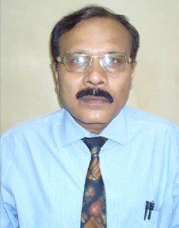 Prof. Alok Satpathy