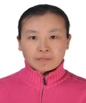 Prof. Hong Liu